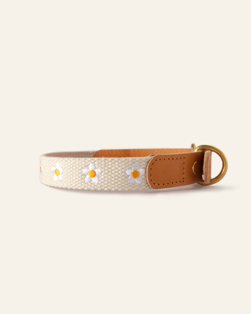 THE SOM STUDIO | Cotton + Leather Daisy Dog Collar | DOG & CO.
