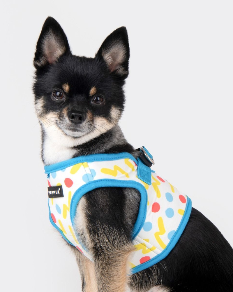 Soft Vest Dog Harness in Fete (FINAL SALE) WALK PUPPIA   