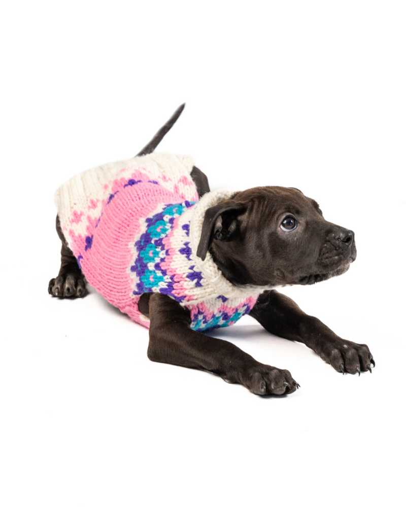 Ski Bum Dog Sweater in Pink (FINAL SALE) Wear CHILLY DOG   