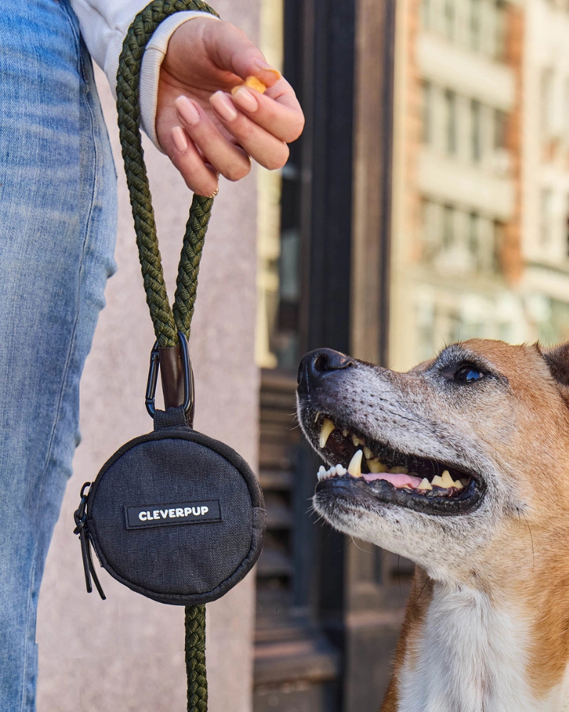 Snackpack Double Dog Treat Pouch Walk CLEVERPUP