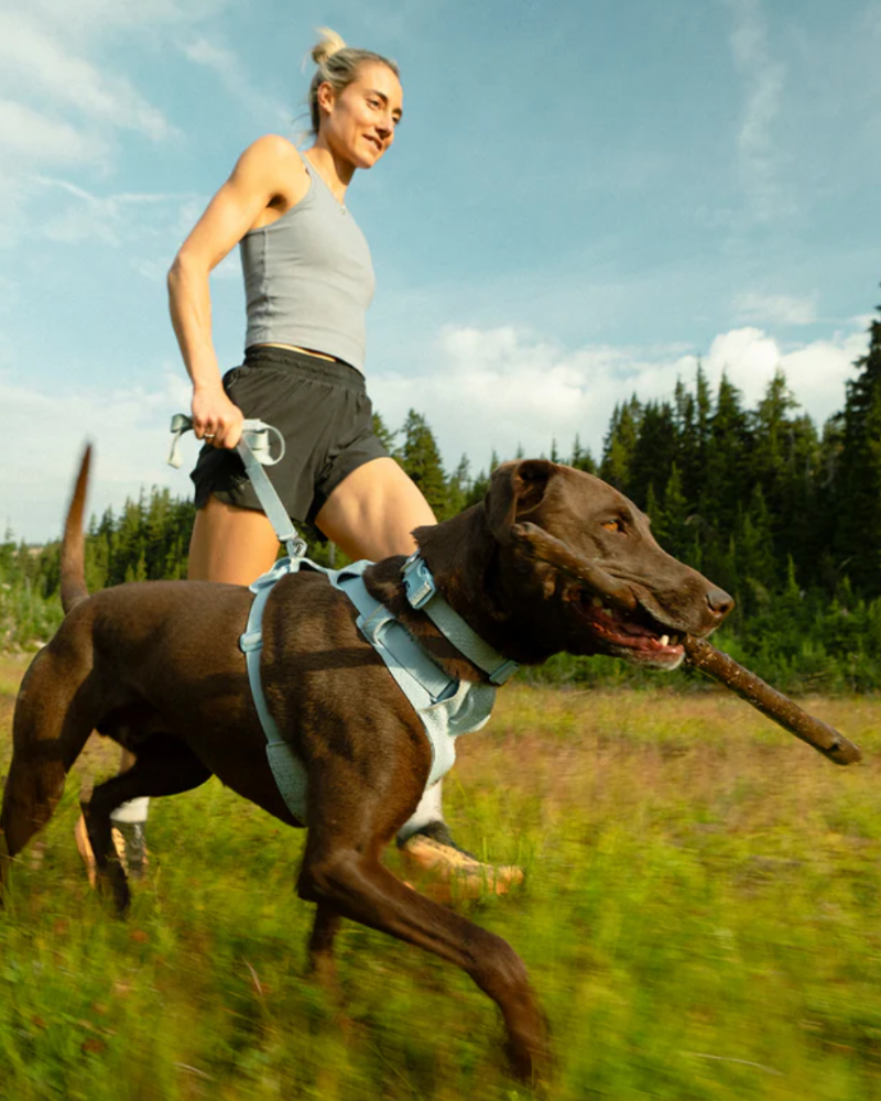 RUFFWEAR | Front Range Flex Harness in Polar Blue | DOG & CO.