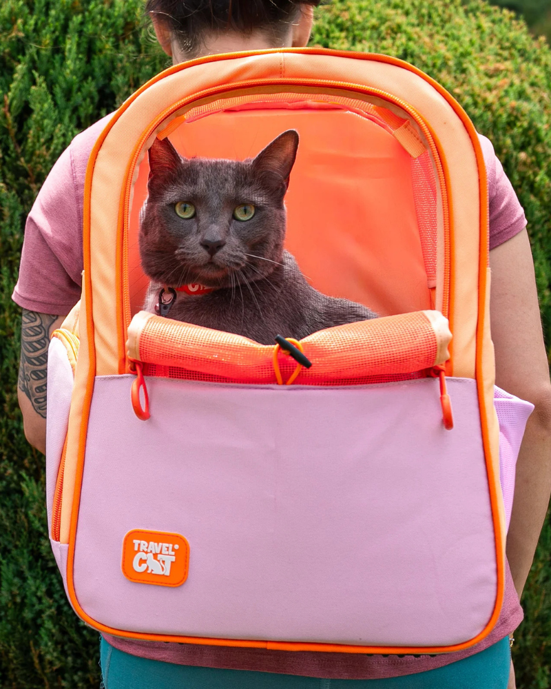 TRAVEL CAT | 