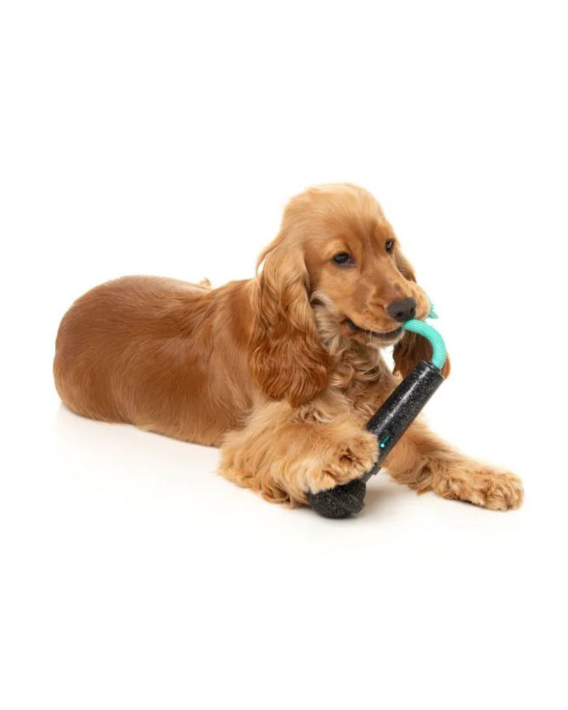 Mic Drop Interactive Chew Dog Toy PLAY FUZZYARD
