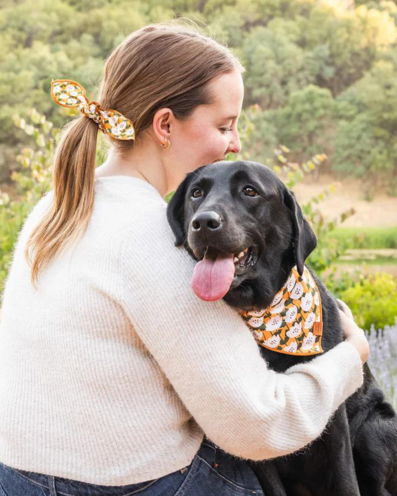 Goldenflowers Dog Bandana (Made in the USA) Wear THE FOGGY DOG   