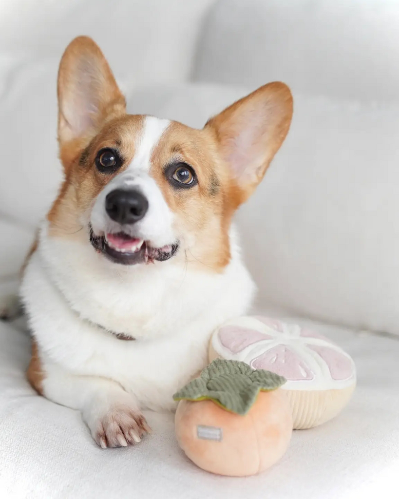 Grapefruit Plush Enrichment Dog Toy PLAY LAMBWOLF COLLECTIVE