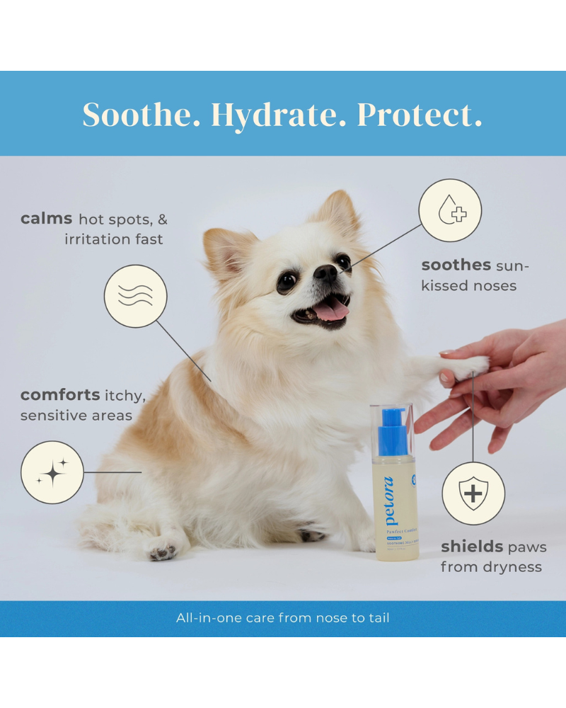 Pawfect Comfort Nose-to-Tail Soothing Jelly Serum for Dogs & Cats HOME PETORA