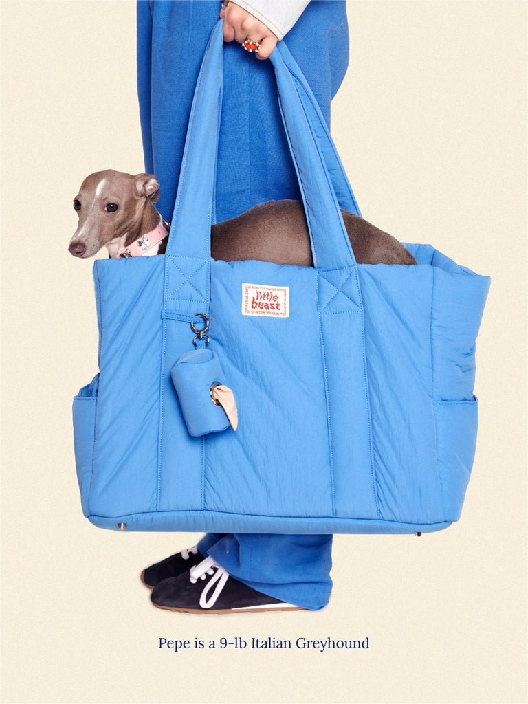 The Little Beast Dog Carrier in Baby Carry LITTLE BEAST   