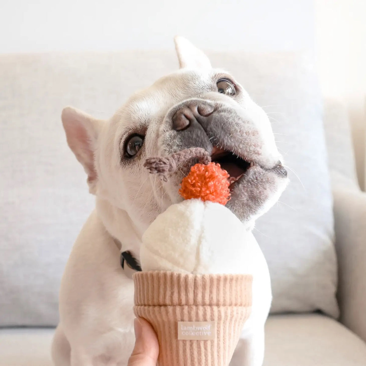 LAMBWOLF COLLECTIVE | Ice Cream Pop Squeaky Snuffle Dog Toy | DOG & CO.