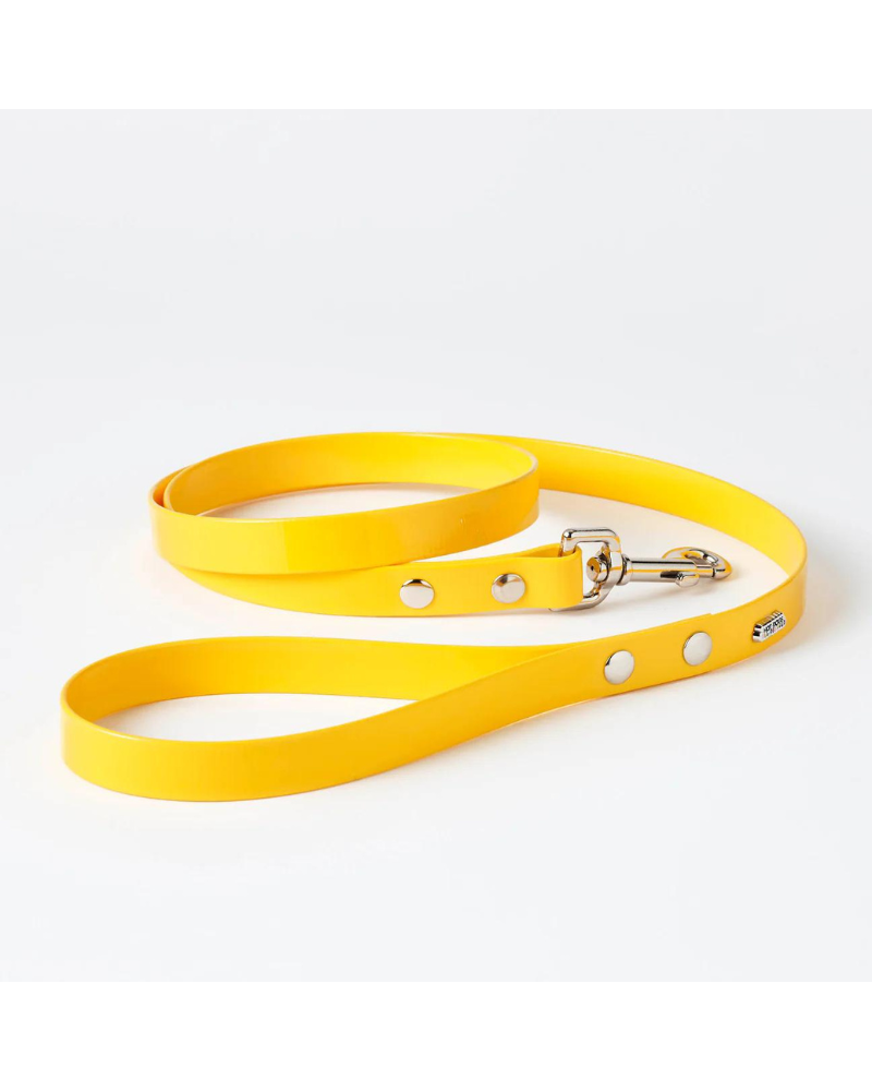 The Daisy Hydro Collar + Leash Set (Made in Canada)