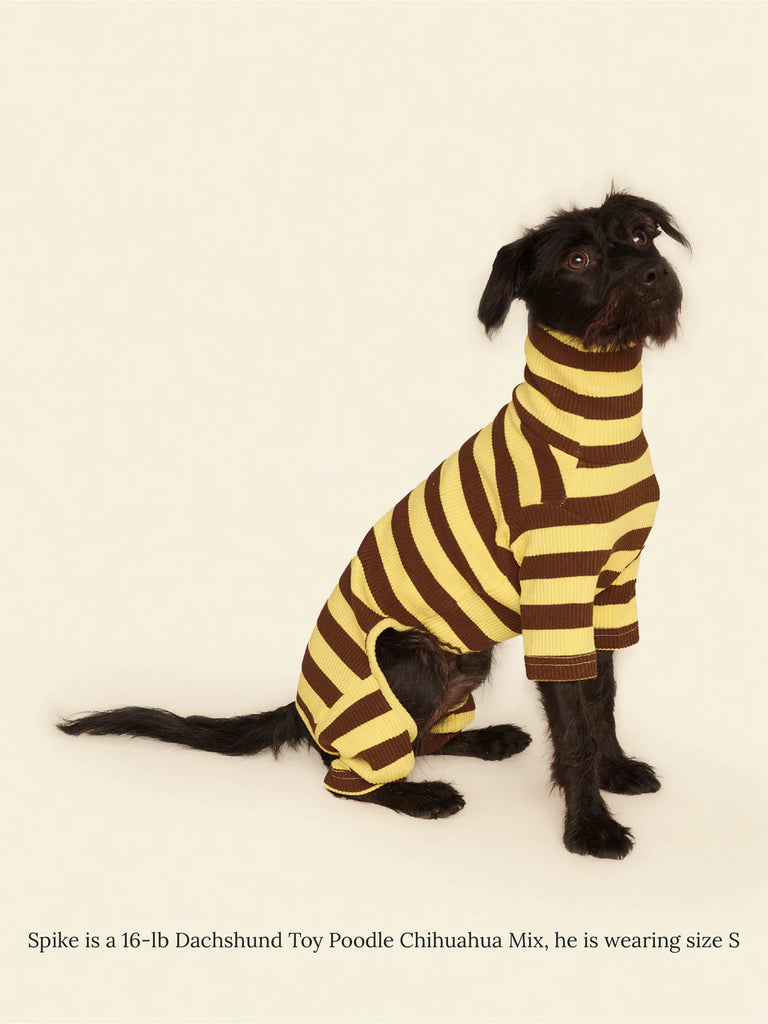 Dijon Stretch Ribbed Dog Onesie Wear LITTLE BEAST