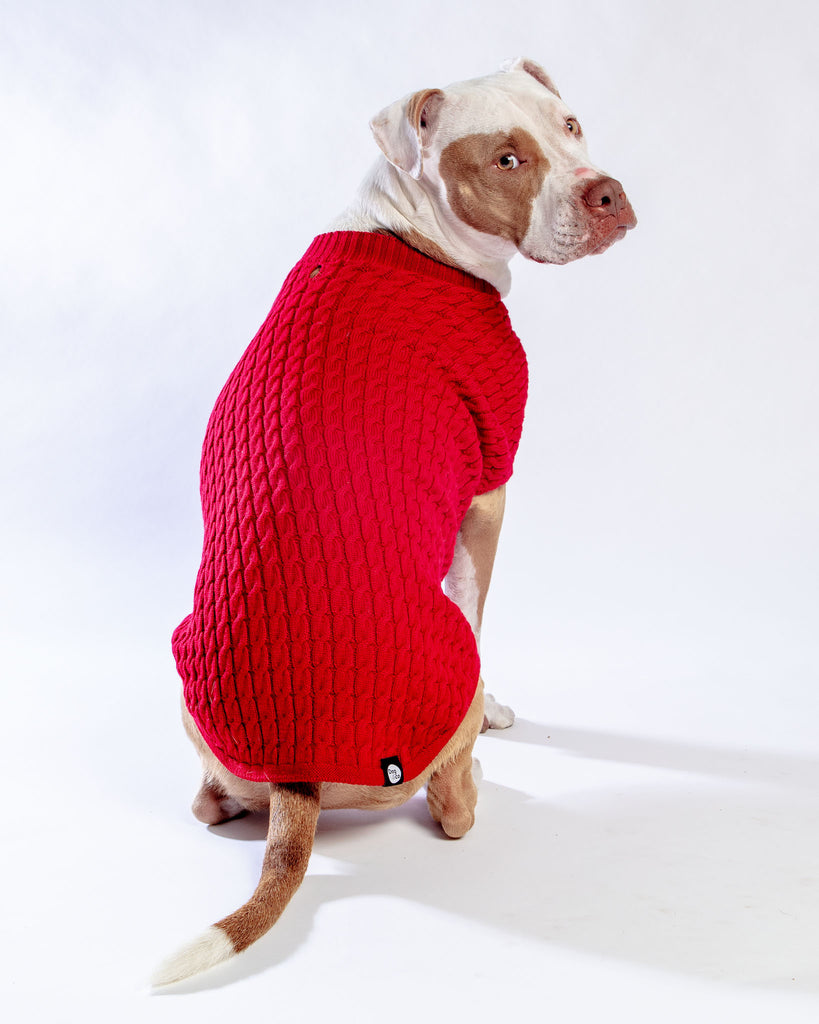 The Uptown Cable Knit Sweater in Red Cotton (Made in NYC)