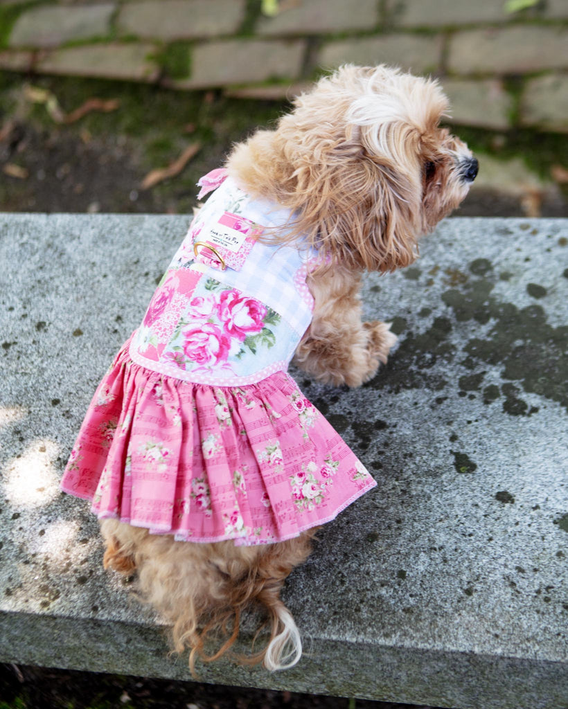 HEADS OR TAILS PUP | Rosie Keepsake Dog Harness Dress (Made int he USA)
