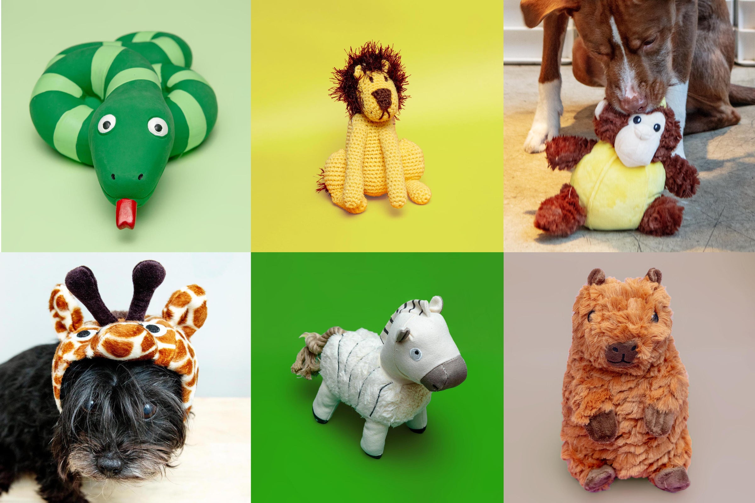DOG & CO. | Quality Pet Products, In-Store & Online