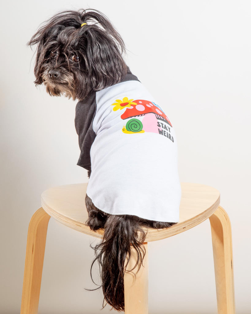 Stay Weird Dog T-Shirt (FINAL SALE) Wear DOG & CO.   