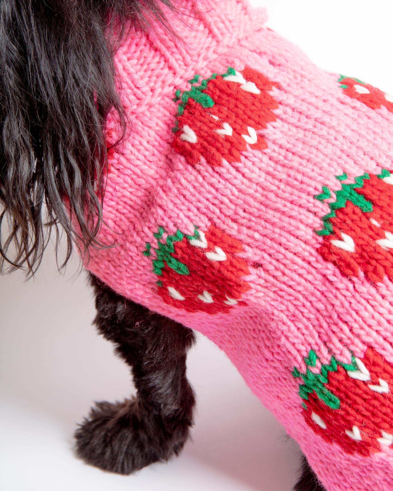 CHILLY DOG | Strawberry Wool Dog Sweater | DOG & CO.