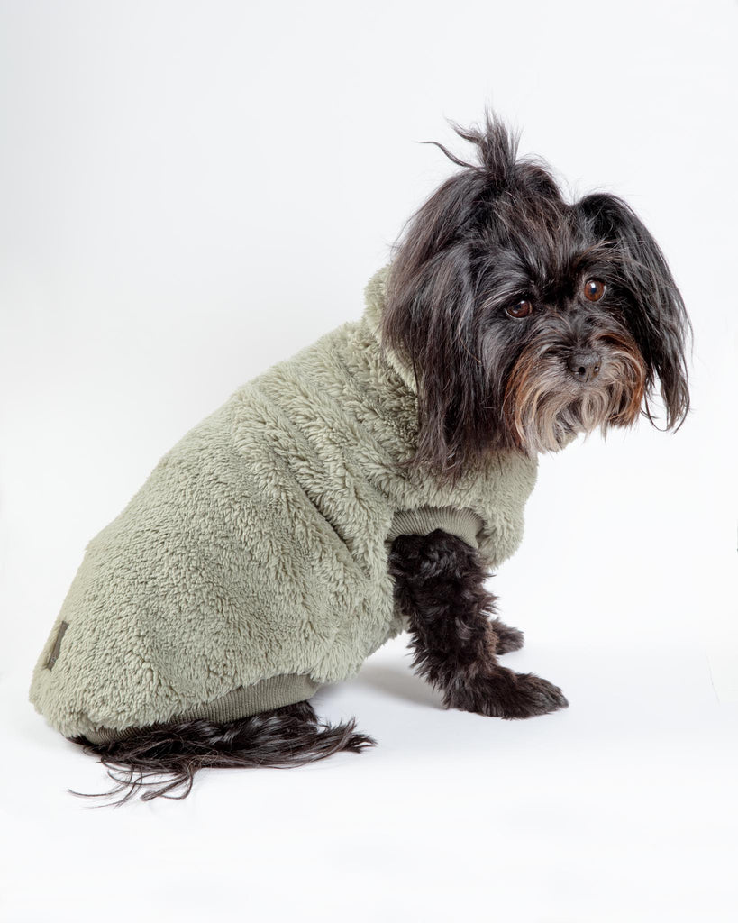 Turtle Rabbit Teddy Teddy FUZZYARD | Turtle Teddy Dog Fleece in Rosemary | DOG & CO.
