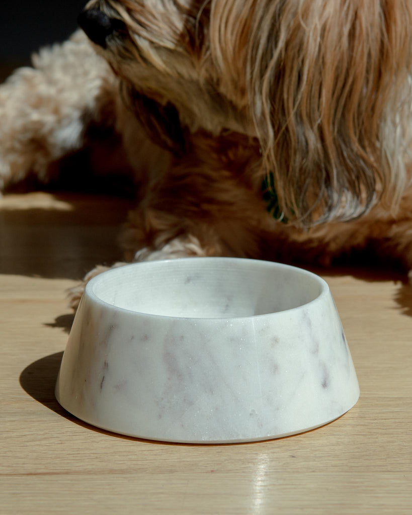 Puebco Marble Pet Bowl (FINAL SALE) HOME PUEBCO   