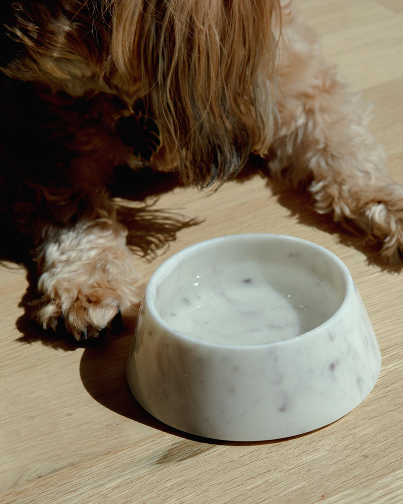 Puebco Marble Pet Bowl (FINAL SALE) HOME PUEBCO   