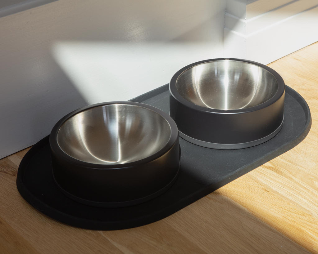 Wild One Dog Bowl in Black Eat WILD ONE   