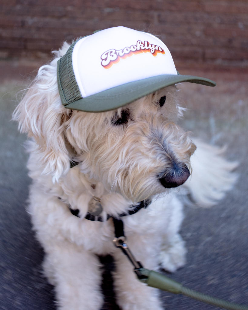 Brooklyn Pet Trucker Hat (DOG & CO. EXCLUSIVE) Wear PUPLID   