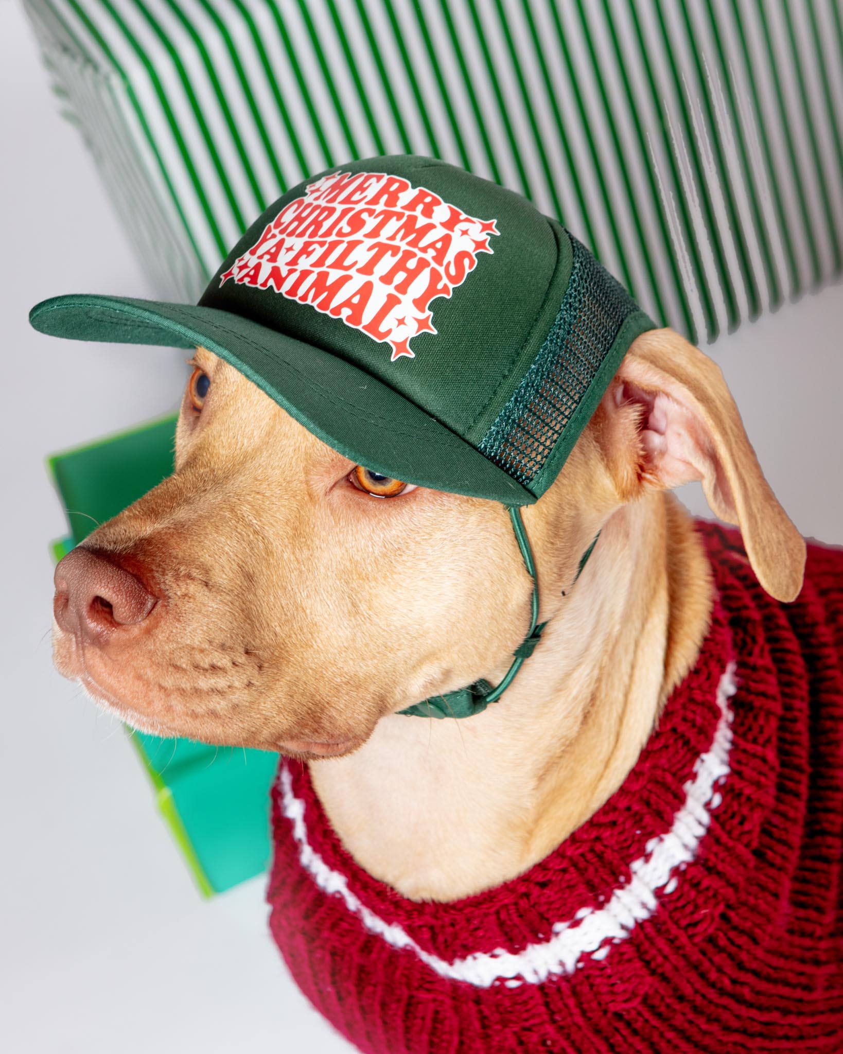 PUPLID Ya Filthy Animal Holiday Pet Trucker Hat (DOG CO
