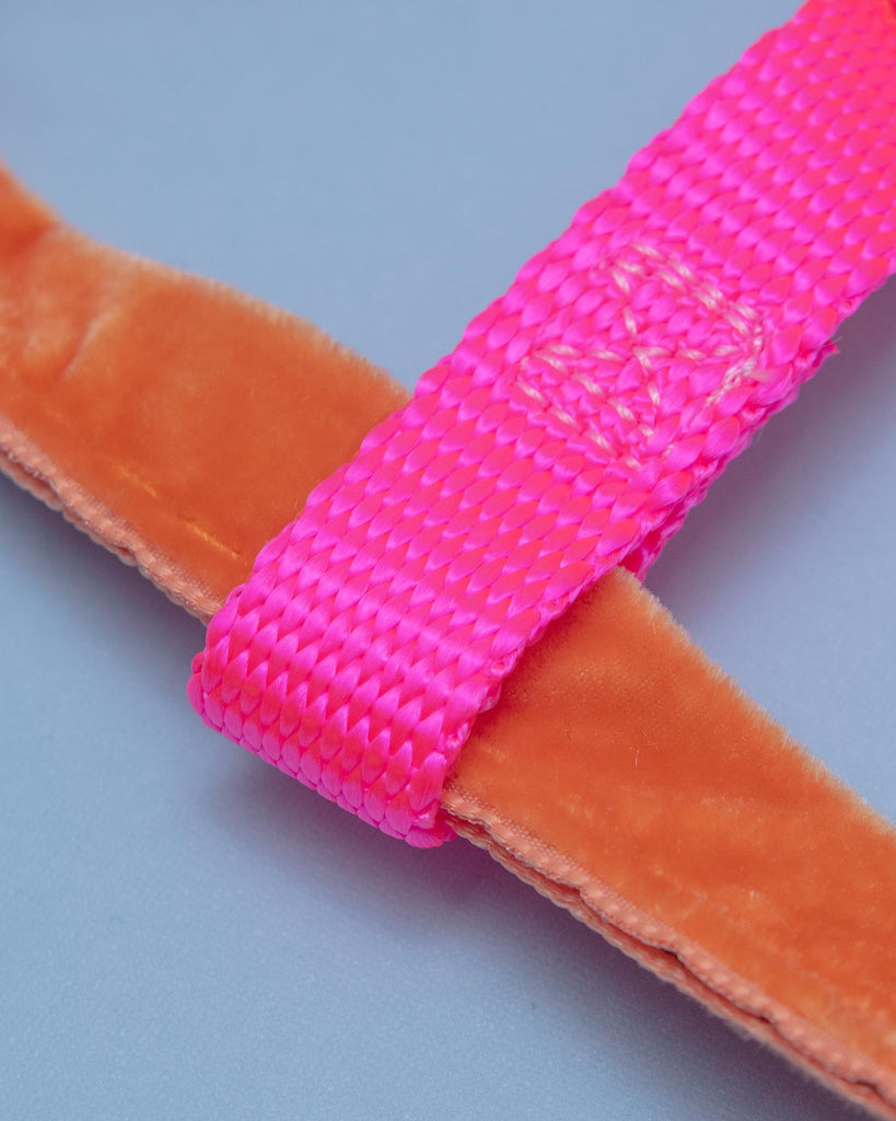 Freedom No-Pull Harness in Neon Pink & Orange (Made in the USA) WALK 2 HOUNDS for DOG & CO. (Exclusive)   