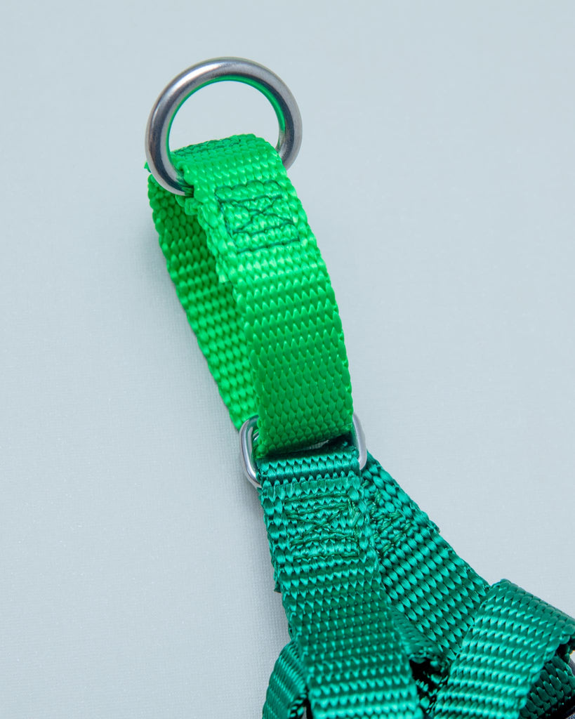 Freedom No-Pull Harness in Kelly Green (Made in the USA) (FINAL SALE) WALK 2 Hounds Design   