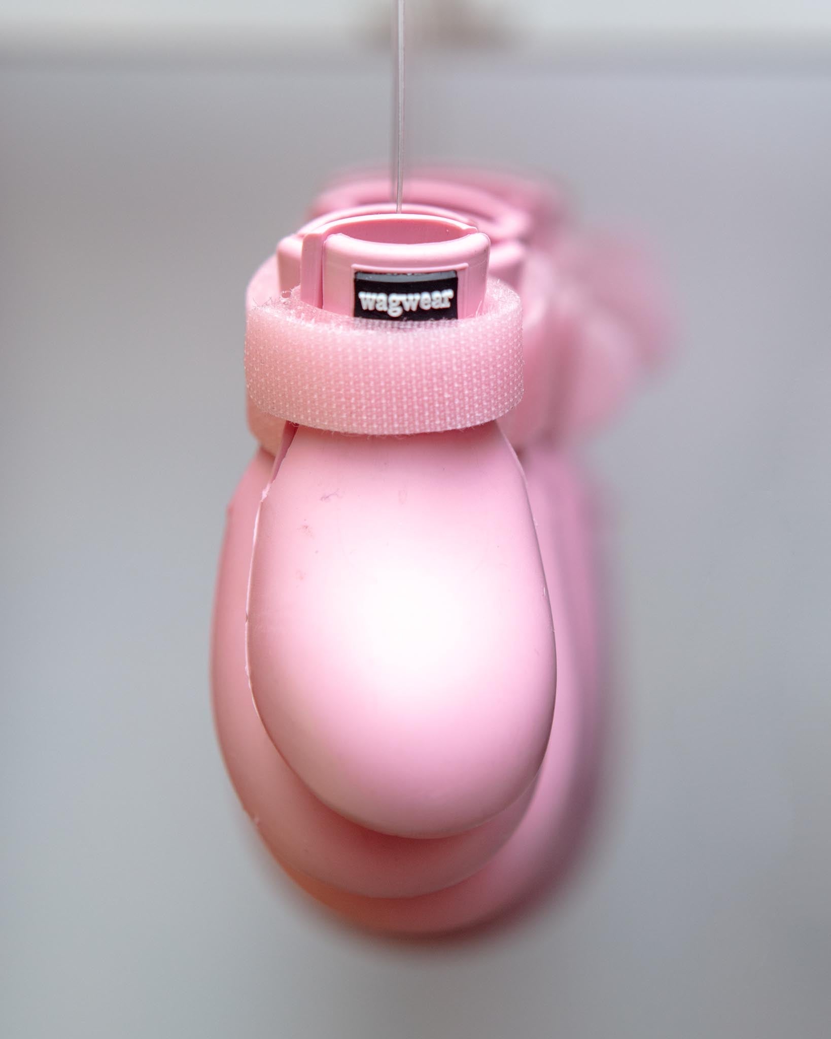 WAGWEAR | WagWellies Waterproof Dog Boots | DOG & CO.