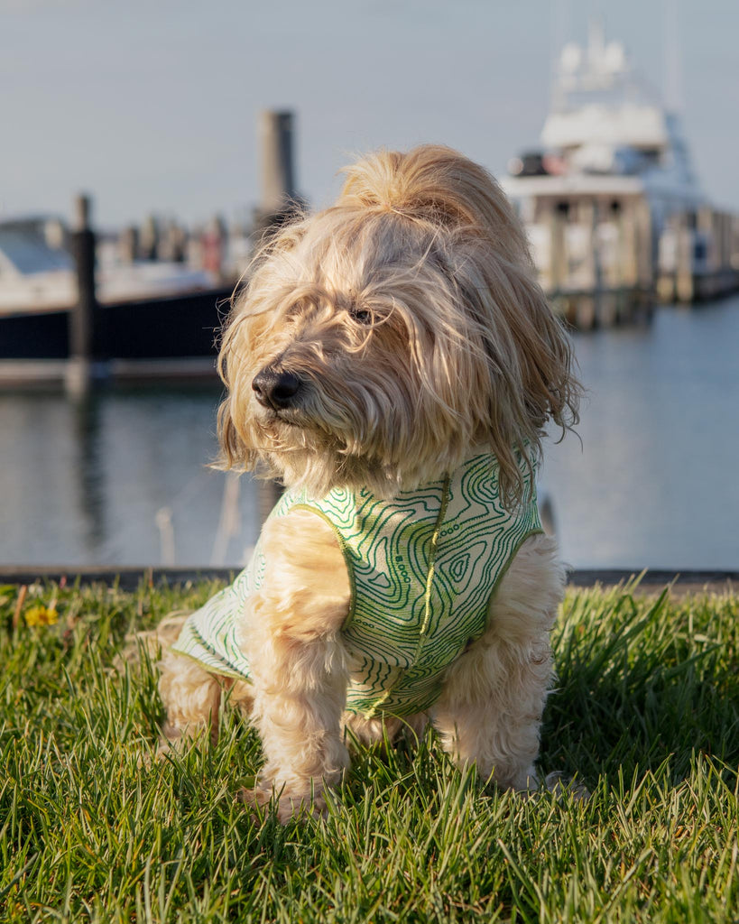 Sun Shield Tee in Grand Teton Green (Made in the USA) Wear GOLD PAW   