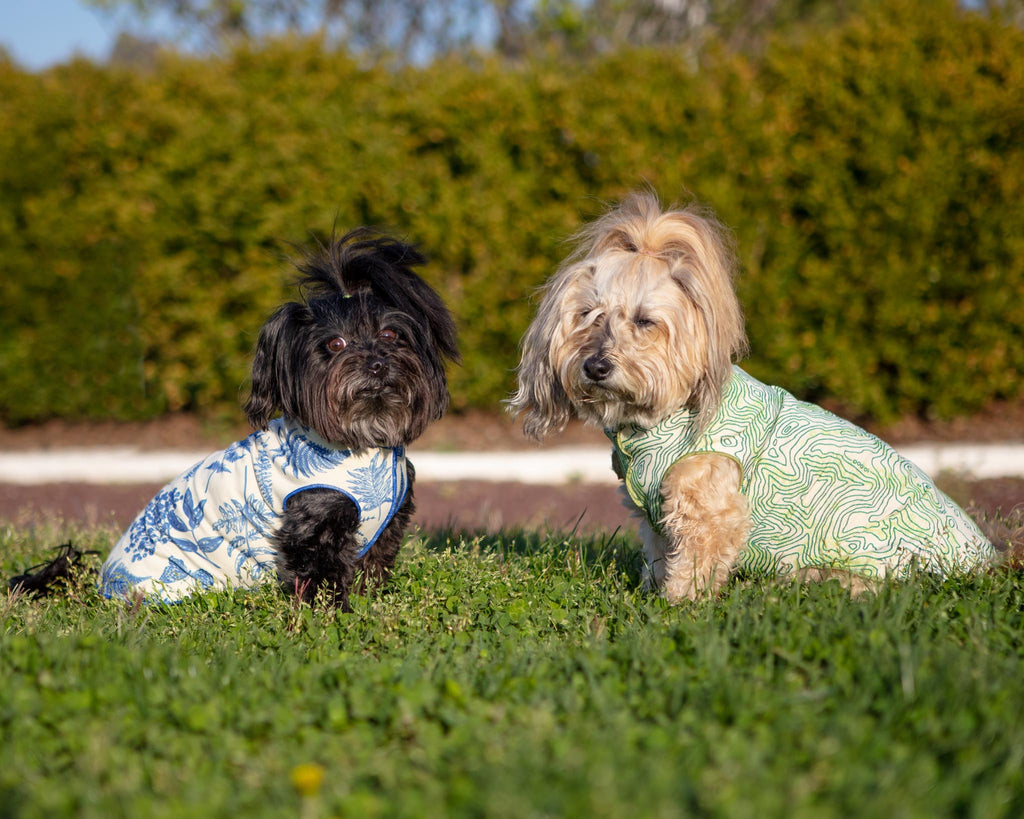 Sun Shield Tee in Acadia Blue (Made in the USA) (FINAL SALE) Wear GOLD PAW   