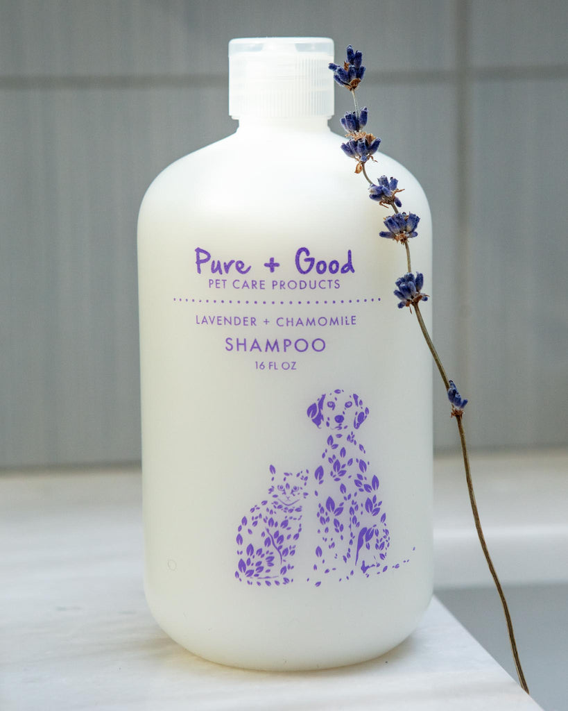 Purifying Shampoo for Dogs & Cats in Lavender & Chamomile HOME PURE + GOOD   