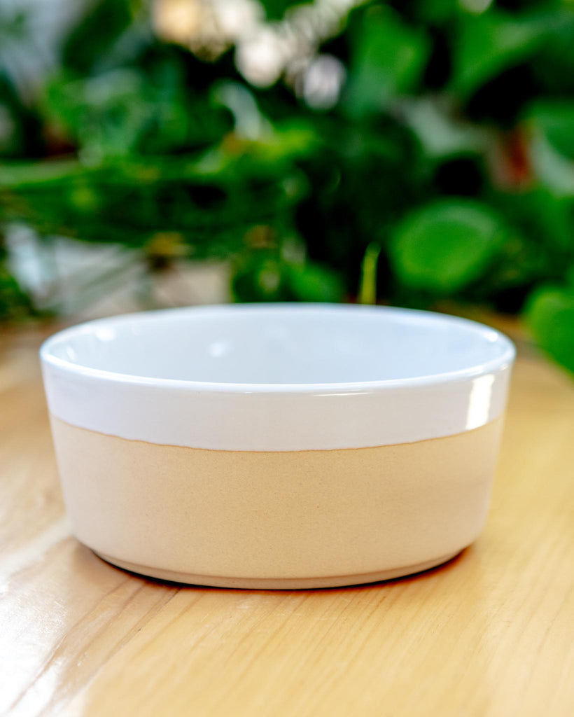 Textured Dipper Ceramic Dog Bowl in White Eat WAGGO   