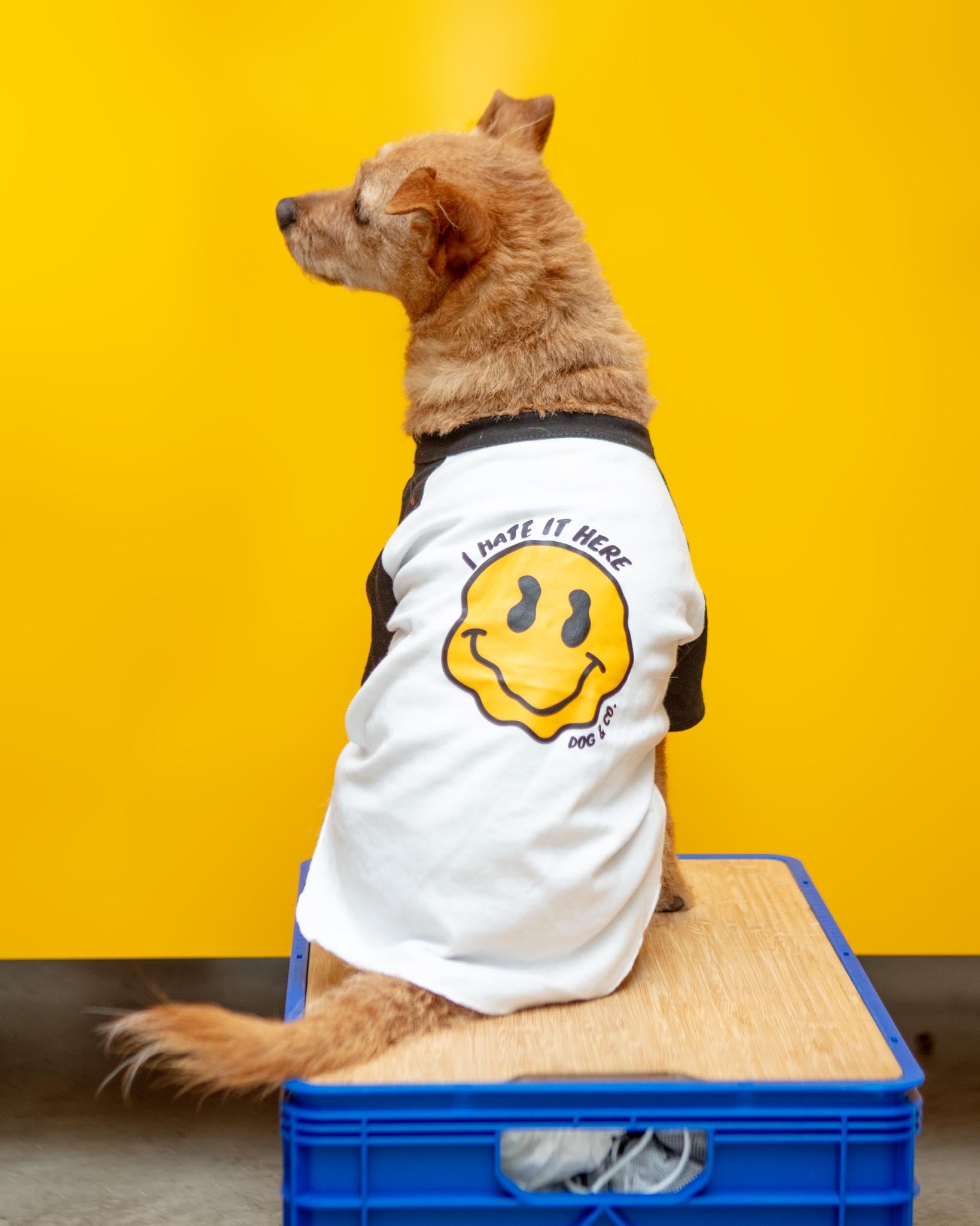 DOG & CO. | *I Hate it Here* Dog T-Shirt | DOG & CO.
