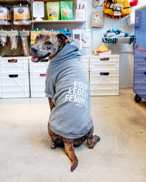 DOG & CO. | *Four Legged Feminist* Dog Hoodie (Proceeds Benefit