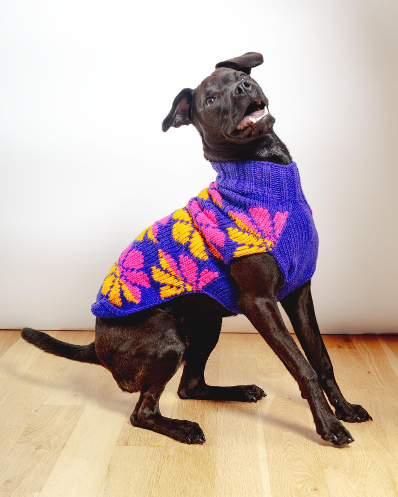 Flower Power Wool Dog Sweater (FINAL SALE) Wear CHILLY DOG   