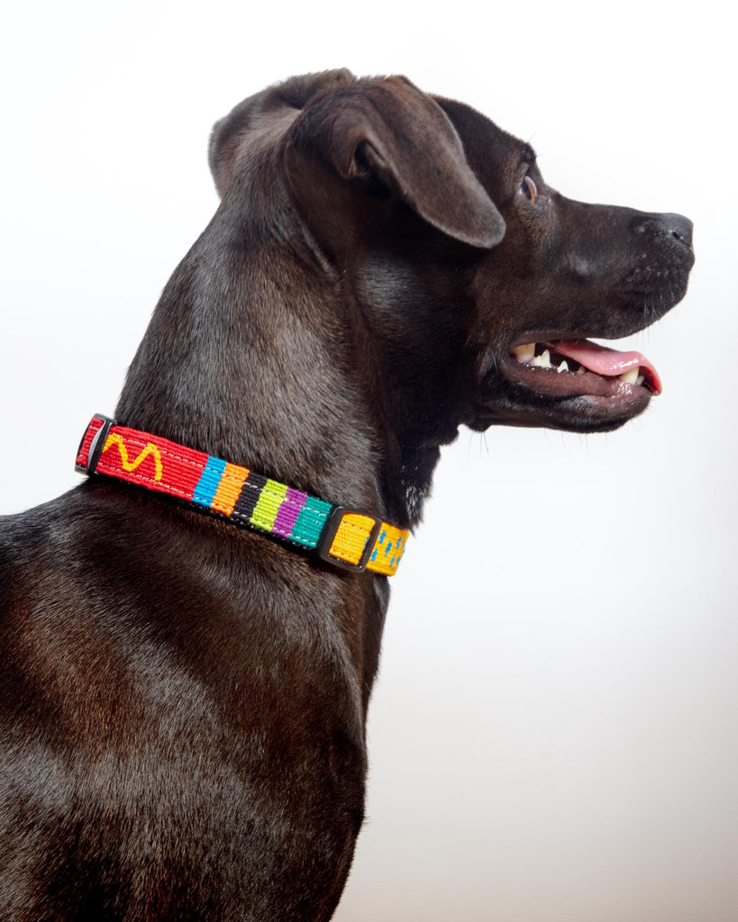 Sun Valley Holiday Collar (Made in the USA) WALK A TAIL WE COULD WAG   