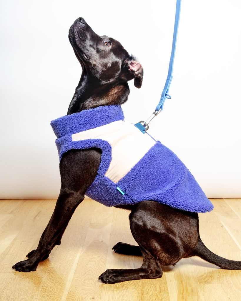 Zip-Up Sherpa Dog Vest in Moonstone Blue (FINAL SALE) Wear GOOBY   