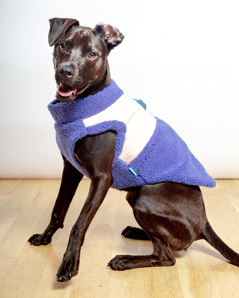 Zip-Up Sherpa Dog Vest in Moonstone Blue (FINAL SALE) Wear GOOBY   