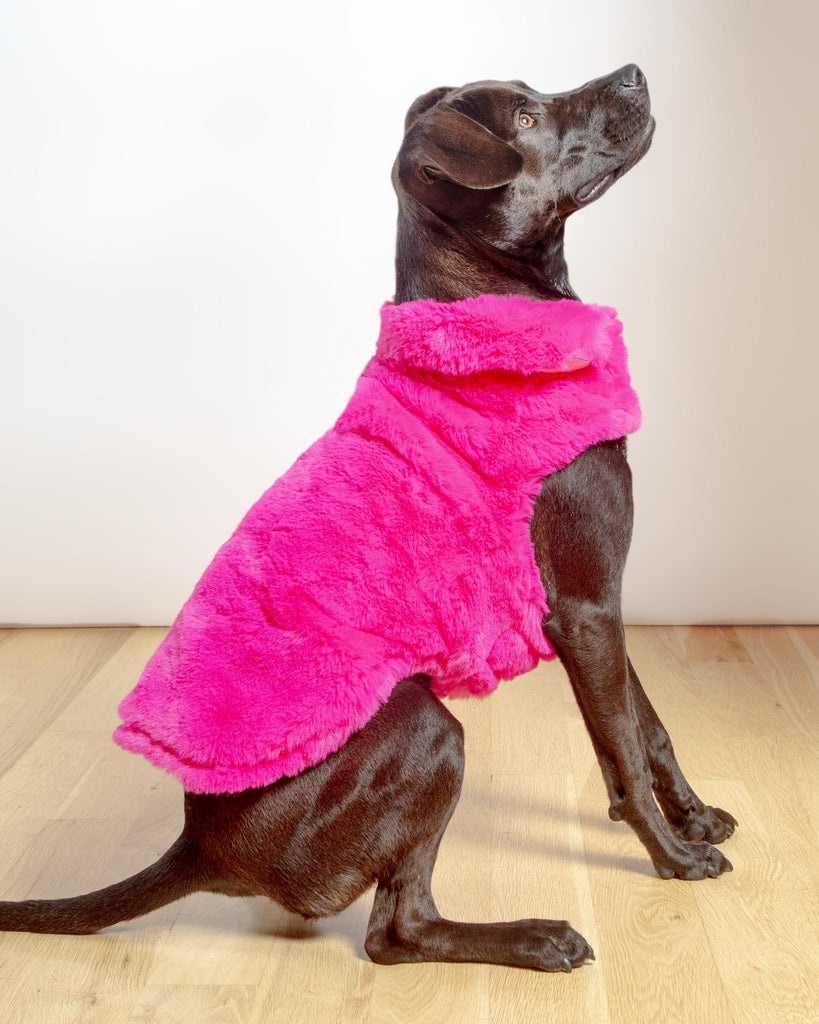 Faux Fur Dog Coat in Neon Pink (FINAL SALE) Wear UPCOUNTRY   