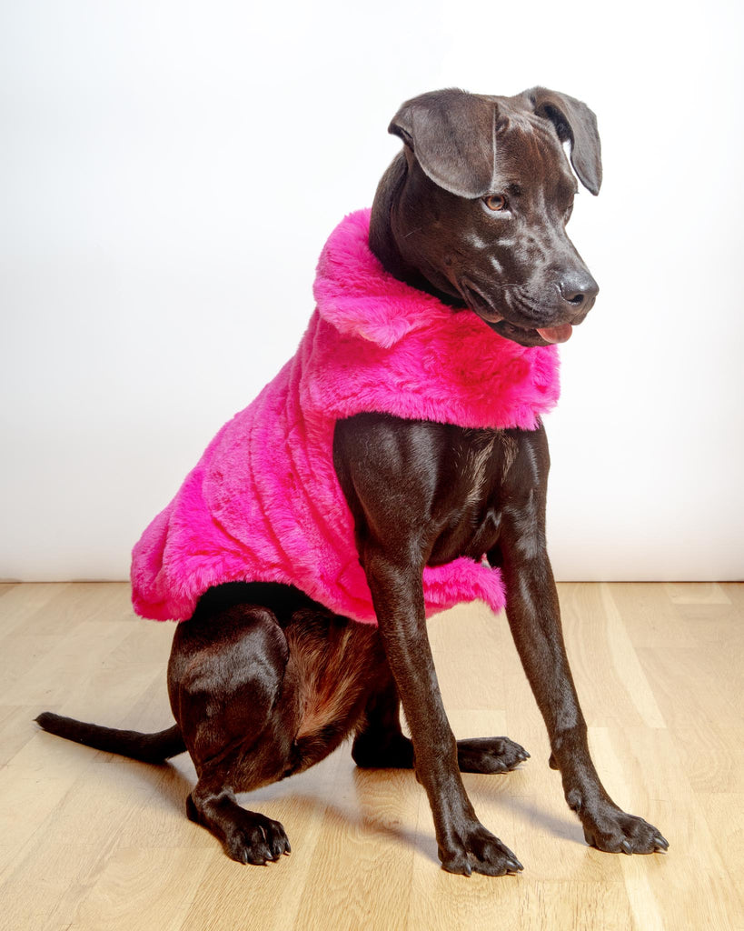 Faux Fur Dog Coat in Neon Pink (FINAL SALE) Wear UPCOUNTRY   