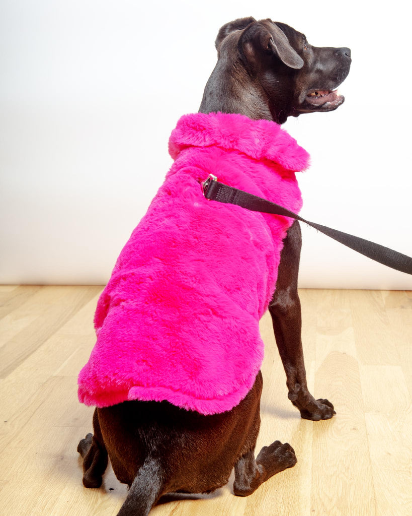 Faux Fur Dog Coat in Neon Pink (FINAL SALE) Wear UPCOUNTRY   