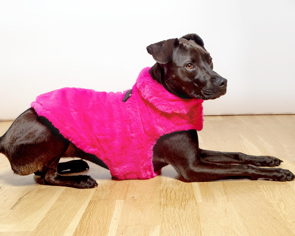 Faux Fur Dog Coat in Neon Pink (FINAL SALE) Wear UPCOUNTRY   