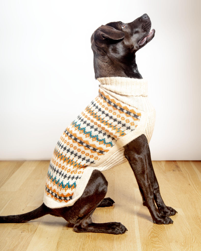 Golden Dreams Alpaca Dog Sweater (FINAL SALE) Wear ALQO WASI   