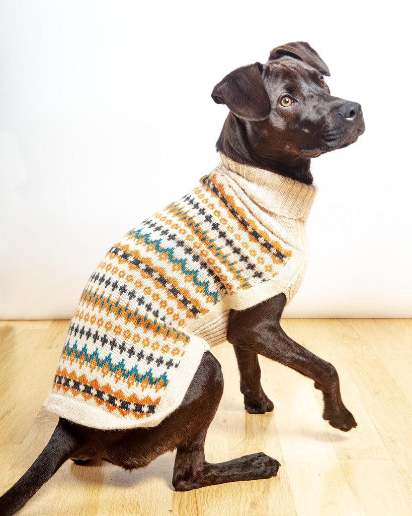 Golden Dreams Alpaca Dog Sweater Wear ALQO WASI   