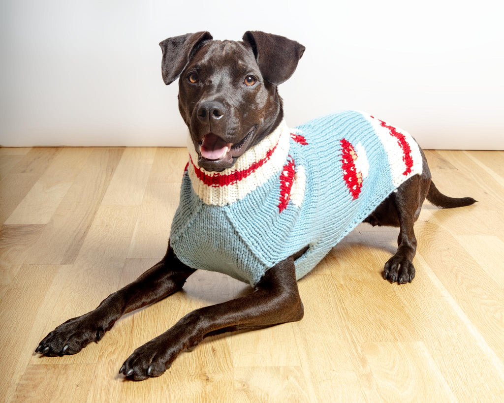 Mushroom Wool Dog Sweater Wear CHILLY DOG   