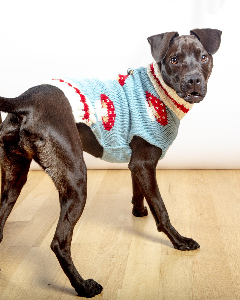 Mushroom Wool Dog Sweater (FINAL SALE) Wear CHILLY DOG   
