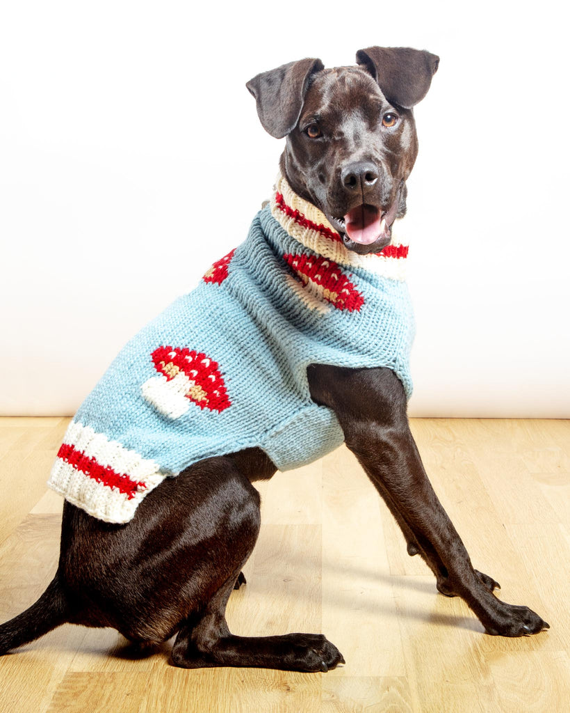 Mushroom Wool Dog Sweater (FINAL SALE) Wear CHILLY DOG   