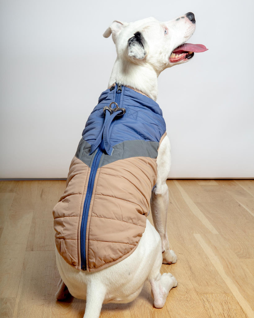 Mountaineer Waterproof Dog Harness Jacket in Tan & Moonstone Blue (FINAL SALE) Wear GOOBY   