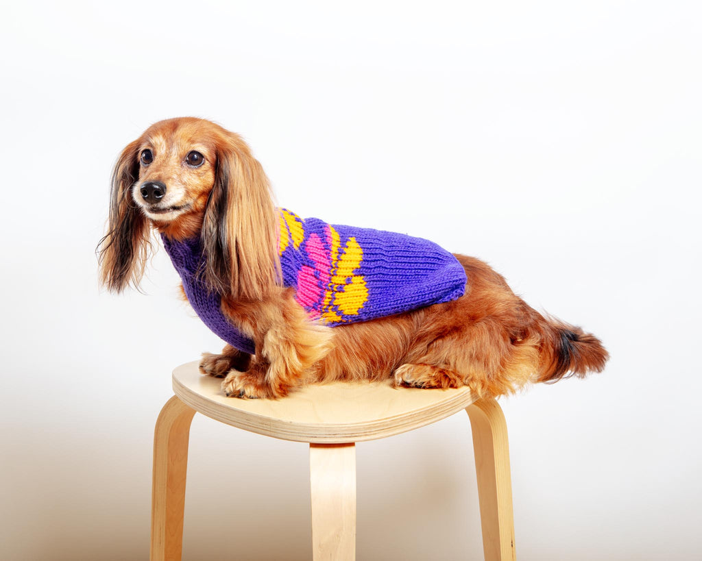 Flower Power Wool Dog Sweater (FINAL SALE) Wear CHILLY DOG   