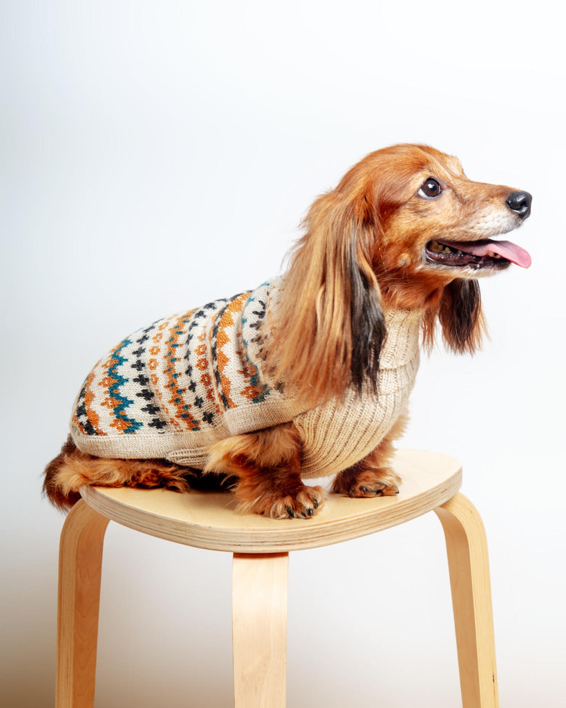Golden Dreams Alpaca Dog Sweater Wear ALQO WASI   